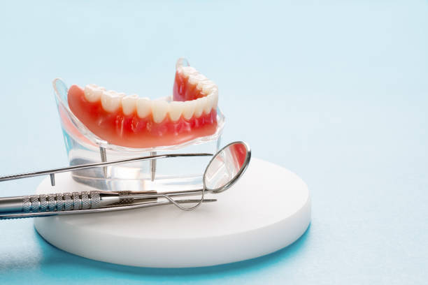 Best Traditional Braces  in Moville, IA